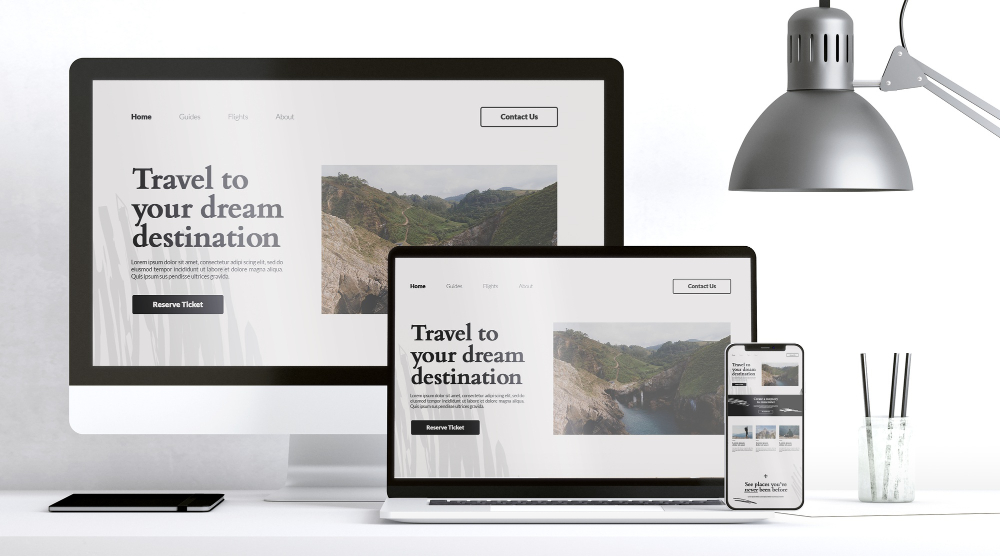 Professional Web Design Services